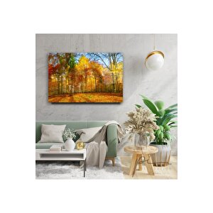 Orman Cam Tablo 50x70 cm