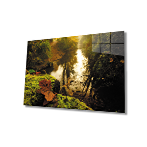 Ağaçlar Yaprak Manzara Cam Tablo 50x70 cm