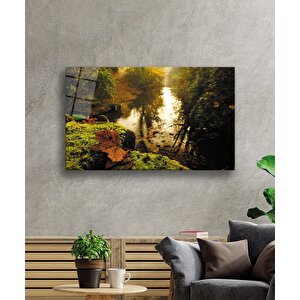 Ağaçlar Yaprak Manzara Cam Tablo 50x70 cm