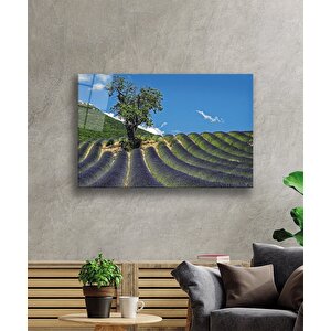 Ağaç Manzara Yeşil Cam Tablo 50x70 cm