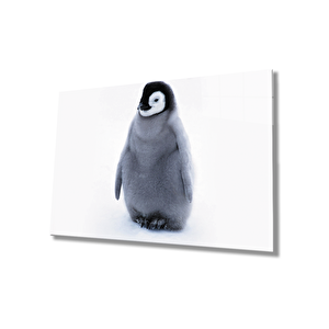 Penguen Cam Tablo Penguin Table 50x70 cm