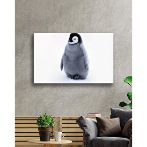 Penguen Cam Tablo Penguin Table 50x70 cm