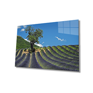 Ağaç Manzara Yeşil Cam Tablo 90x60 cm