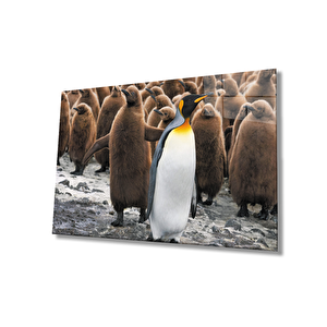 Penguenler Cam Tablo 36x23 cm