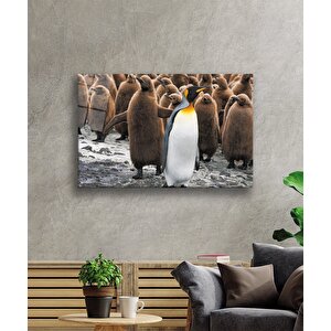 Penguenler Cam Tablo 36x23 cm
