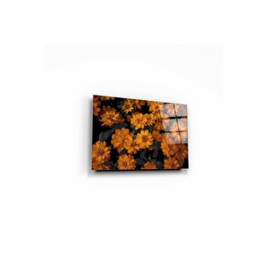 Çiçekler Cam Tablo 50x70 cm