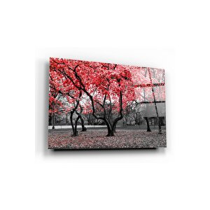 Orman Cam Tablo 50x70 cm