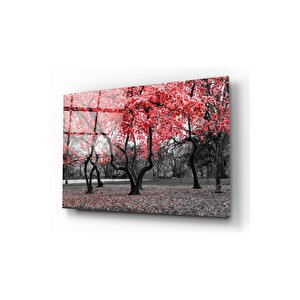 Orman Cam Tablo 50x70 cm