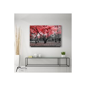 Orman Cam Tablo 50x70 cm