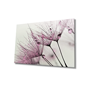 Kırmızı Karahindibacam Tablo 36x23 cm