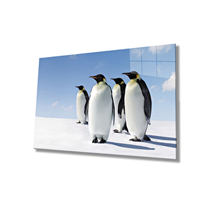 Penguenler Cam Tablo 50x70 cm