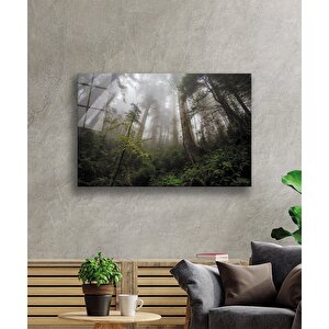 Orman Yeşil Manzara Ağaç 50x70 cm