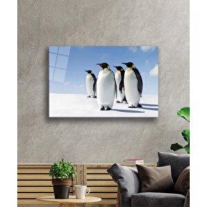 Penguenler Cam Tablo 90x60 cm