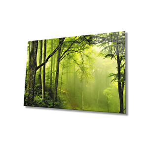Ağaç Orman Yeşil Manzara Cam Tablo 90x60 cm