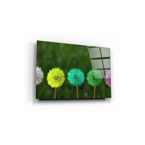 Çiçekler Temalı Cam Tablo 50x70 cm