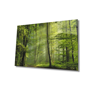 Ağaç Yeşil Orman Cam Tablo 50x70 cm