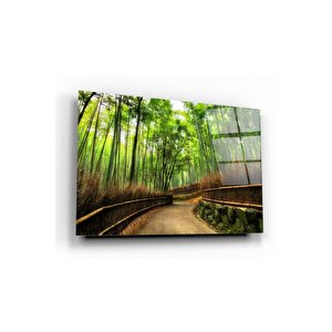 Orman Yolu Cam Tablo 50x70 cm