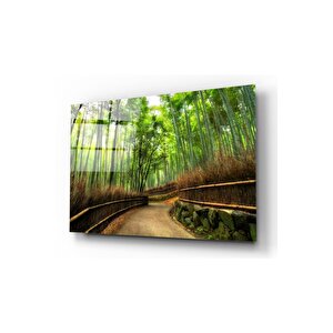 Orman Yolu Cam Tablo 50x70 cm