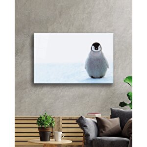 Penguen Cam Tablo Penguin Table 90x60 cm