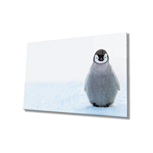 Penguen Cam Tablo Penguin Table 50x70 cm