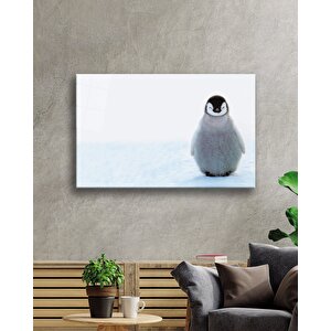 Penguen Cam Tablo Penguin Table 50x70 cm
