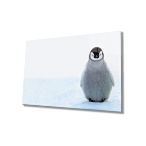 Penguen Cam Tablo Penguin Table 36x23 cm