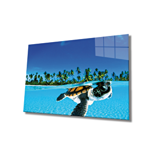 Deniz Kaplumbağası Cam Tablo Sea Turtle 50x70 cm