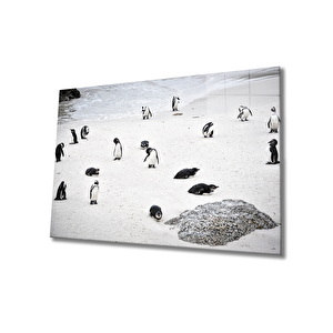 Penguen Cam Tablo 50x70 cm