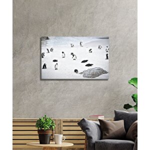 Penguen Cam Tablo 50x70 cm