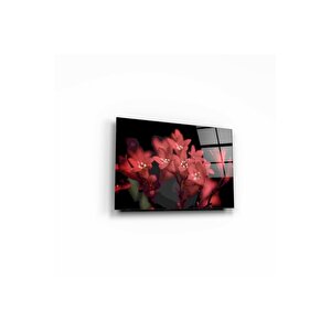 Çiçekler Cam Tablo 60x90 cm