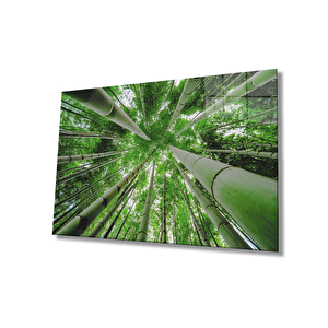 Aşağıdan Yukarı Orman Yeşil Cam Tablo 110x70 cm