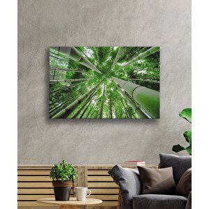 Aşağıdan Yukarı Orman Yeşil Cam Tablo 110x70 cm