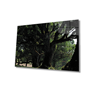 Yeşilağaç Manzara Green Tree Landscape 90x60 cm