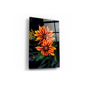Çiçekler Cam Tablo 50x70 cm