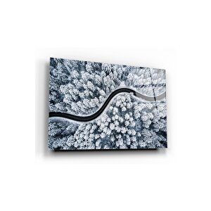 Karlı Orman Cam Tablo 50x70 cm