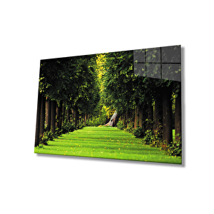 Manzara Ormanağaçlar Yeşil Cam Tablo 36x23 cm