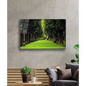 Manzara Ormanağaçlar Yeşil Cam Tablo 36x23 cm