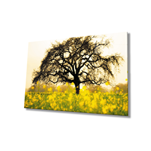 Sarı Çiçekağaç Manzara Yeşil Cam Tablo 110x70 cm
