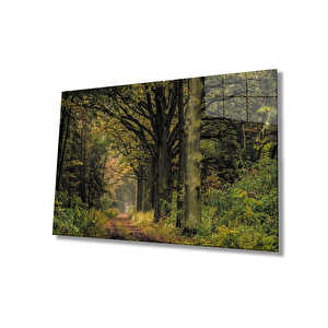 Orman Ağaçlar Yeşil Cam Tablo 50x70 cm