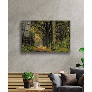 Orman Ağaçlar Yeşil Cam Tablo 36x23 cm