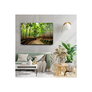 Orman Yolu Cam Tablo 50x70 cm