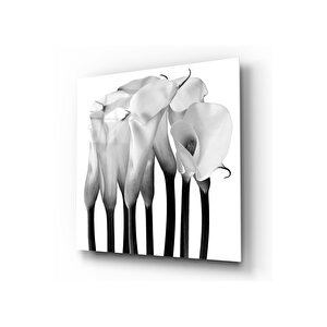 Çiçekler Cam Tablo 50x50 cm