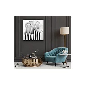 Çiçekler Cam Tablo 50x50 cm
