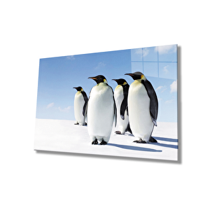 Penguenler Cam Tablo 36x23 cm