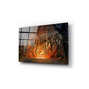 Orman Cam Tablo 50x70 cm