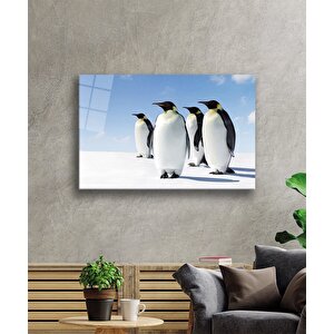 Penguenler Cam Tablo 50x70 cm