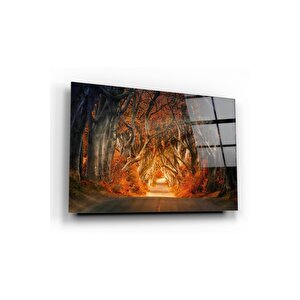 Orman Cam Tablo 70x110 cm