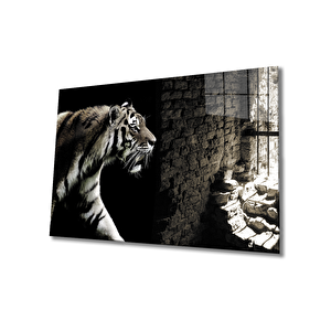 Kaplan Kafeste Cam Tablo 50x70 cm