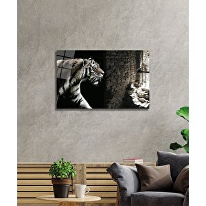 Kaplan Kafeste Cam Tablo 50x70 cm