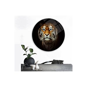 Kaplan Yuvarlak Cam Tablo 60x60 cm